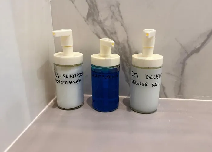 Au Coeur De 툴루즈