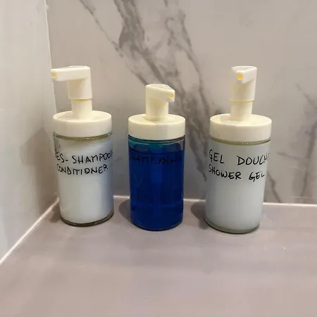 Au Coeur De トゥールーズ